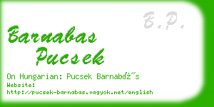 barnabas pucsek business card